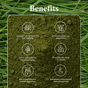 Ole Nutrients, Barley Grass Juice Powder 100g Ole Nutrients