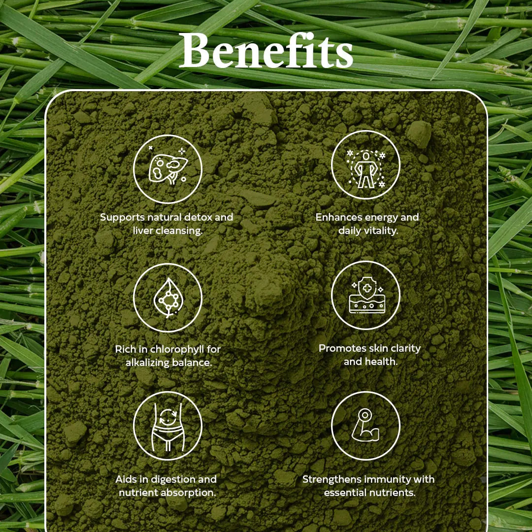 Ole Nutrients, Barley Grass Juice Powder 100g Ole Nutrients