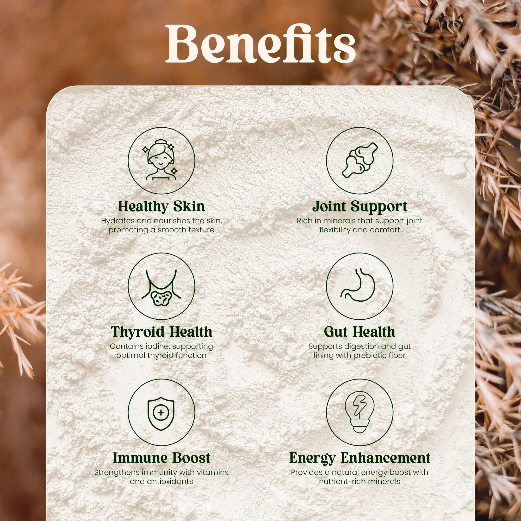 Ole Nutrients, Raw Wildcrafted Sea Moss Powder 100g Ole Nutrients