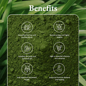 Ole Nutrients, Wheatgrass Juice Powder 100g Ole Nutrients
