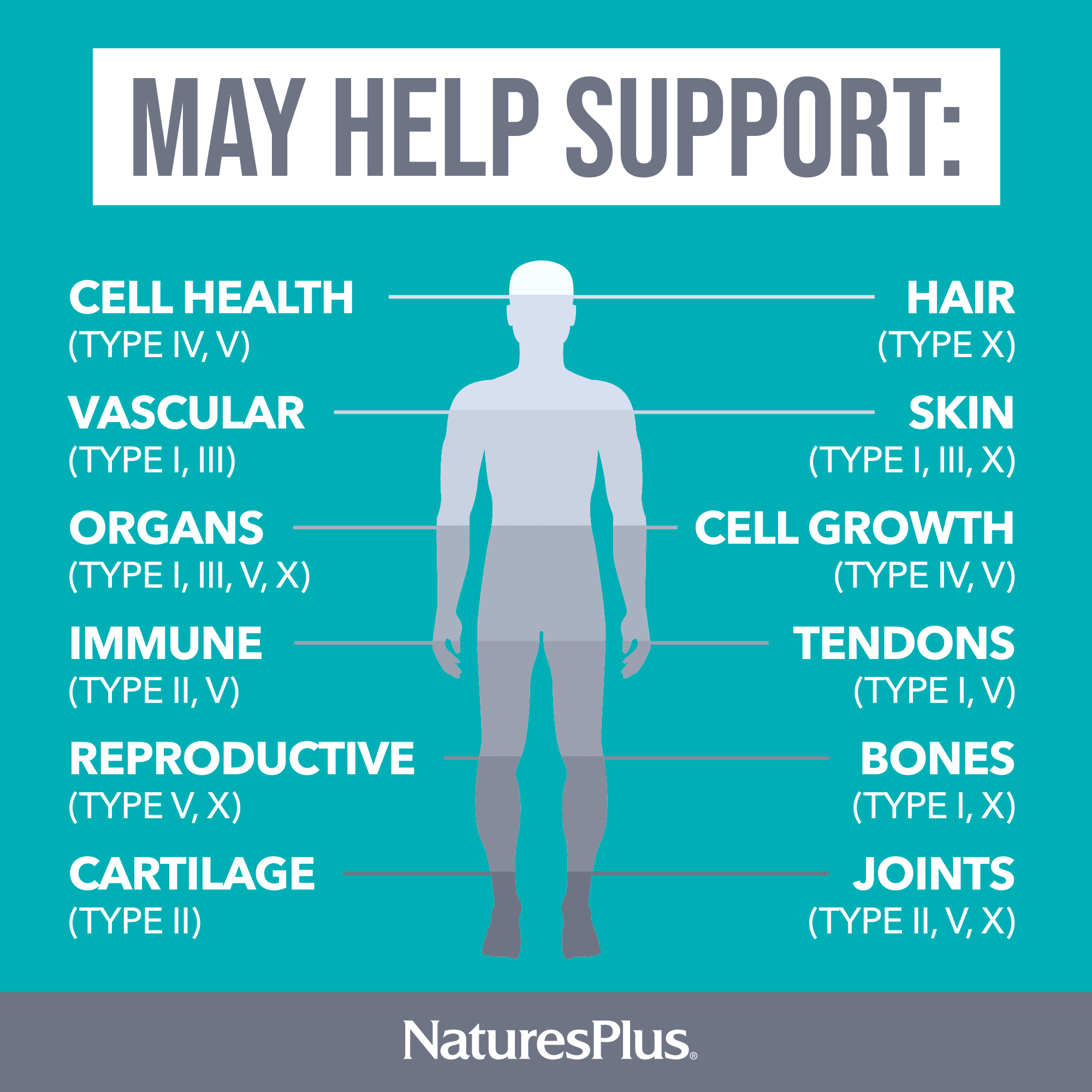NaturesPlus_Collagen_Peptides_Chocolate_Powder_6_Types_Hydrolyzed4
