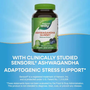 Nature's Way, ALIVE ASHWAGNDHA, 90 Berry Gummies - KleanSource