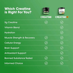 Optimum Nutrition Micronized Creatine Monohydrate Powder, 5g (300g), 60 Servings - KleanSource