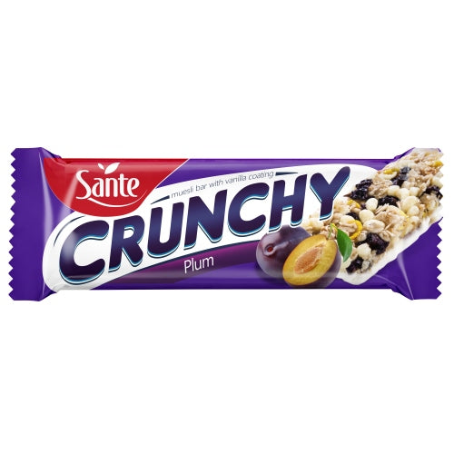 https://www.sante.com.pl/wp-content/uploads/2017/07/vanilla-coated-crunchy-bar-with-plums-40g-sante.jpg
